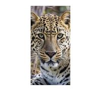 Copertura della porta banner personalizzati leopardo animale africano grande banner segno banner decorazione foto sfondo benvenuto festa decorazione
