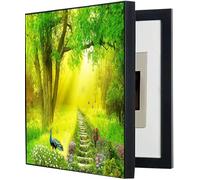 Copertura della Scatola dei fusibili, contatore Elettrico, Pittura Decorativa, distribuzione, nascondi Dipinti, Poster Artistico da Parete con Cornice per(B,35x45cm)