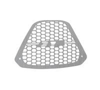 Copertura di protezione del radiatore per motocicletta adatta per Honda ADV 350 Forza 350 Griglia del serbatoio dell'acqua in acciaio inossidabile(Silver)