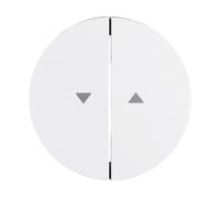COPERTURA/ELEMENTO DI COMANDO PER PROGRAMMI DI INTERRUTTORI DI INSTALLAZIONE BERKEL Wippe 16252089, Programmi di interruttori Berker serie R.1/R.3
