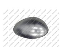 Copertura fãƒâ ¼ r auãƒâÿen Specchio Destro AA3 407405 10/03 - 03/07/Copertura