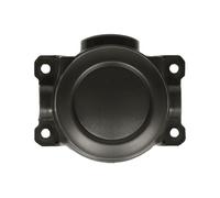 Copertura Fendinebbia Anteriore Sinistra Destra Per: MITSUBISHI ASX 02.10-12.12