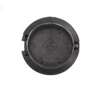 Copertura gancio di traino BLIC 6502-07-0111920Q FIAT PUNTO (188_) 1.2 1999-2006