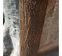Copertura in corteccia di sughero fai da te per sfondo di corteccia sughero