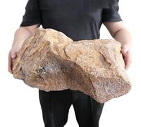 Copertura in finta roccia per pompe da pozzo e fosse settiche, occultamento durevole per una migliore estetica del giardino