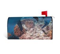 Copertura magnetica per cassetta postale con divertente delfino che guarda te, resistente ed elegante, impermeabile, facile da installare per tutte le stagioni