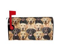 Copertura magnetica per cassetta postale con stampa di cani Labrador Retriever, dimensioni standard, per giardino, cortile, decorazione per la casa, 53,3 x 45,7 cm
