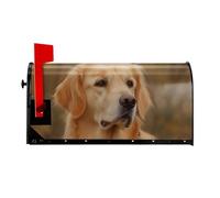 Copertura magnetica per cassetta postale Golden Retriever, dimensioni standard 64,8 x 53,3 cm, copertura magnetica per cassetta postale, decorazione per la casa e il giardino