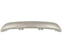 Copertura paraurti 5511-00-6013970P BLIC