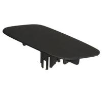 Copertura paraurti anteriore Sx 5513-00-8123921P BLIC per LEXUS RX