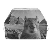 Copertura per barbecue a gas con motivo piramidi, scoiattolo, 165 cm, impermeabile, resistente, resistente allo sbiadimento e ai raggi UV, con coulisse regolabile per polvere e vento