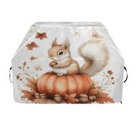 Copertura per barbecue impermeabile di alta qualità, resistente allo sbiadimento, copertura per barbecue resistente, adatta per griglie fino a 63 cm di scoiattolo zucca autunno