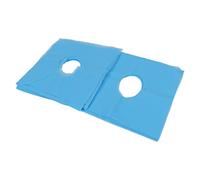 Copertura per il Viso Usa e Getta con Progettazione di Fori Traspiranti, Tessuto Non Tessuto per Letti Massaggio, Spa e Saloni di Bellezza - 100 Pezzi, Bianco (BLUE)