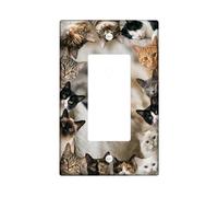 Copertura per interruttore della luce a bilanciere singolo, fantasiosi volti giocosi espressioni nessuna plastica neutra Dimensioni standard Piastra decorativa per soggiorno, camera da letto, casa