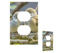 Copertura per interruttore della luce Kiwi Birds Simpatica piastra da parete 1 gang copertura decorativa presa elettrica piastra frontale per bagno cucina decorazione piatti da parete 12,7 x 7,6 cm