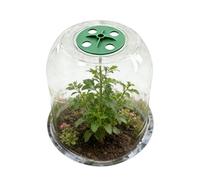 Copertura per piante antigelo, copertura trasparente da giardino, protezione per climi freddi, barriera resistente al gelo, strato isolante per colture in vivaio, copertura per la difesa delle piante