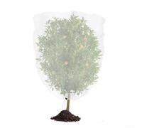 Copertura per piante in rete con cerniera e coulisse per proteggere le colture da parassiti, per alberi da frutto, campi di ortaggi e aiuole decorative (1,8 x 1,8 m)