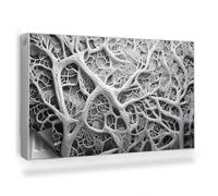 Copertura per Radiatore 100x60 cm Tappetino Magnetico Decorazione per Interni Senza Viti o Colla per Termosifone Montaggio Facile - Composizione Biologica, Rami, Radici