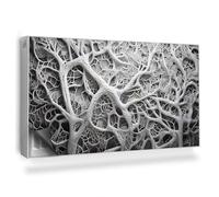 Copertura per Radiatore 110x60 cm Tappetino Magnetico Decorazione per Interni Senza Viti o Colla per Termosifone Montaggio Facile - Composizione Biologica, Rami, Radici
