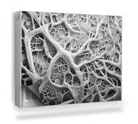 Copertura per Radiatore 80x60 cm Tappetino Magnetico Decorazione per Interni Senza Viti o Colla per Termosifone Montaggio Facile - Composizione Biologica, Rami, Radici