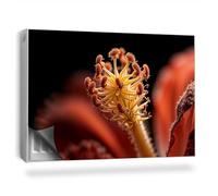 Copertura per Radiatore 90x60 cm per Termosifone Senza Viti o Colla Decorazione per Interni Montaggio Facile Tappetino Magnetico - Fiore in Primo Piano, Bellezza Naturale della Natura