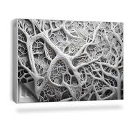 Copertura per Radiatore 90x60 cm Tappetino Magnetico Decorazione per Interni Senza Viti o Colla per Termosifone Montaggio Facile - Composizione Biologica, Rami, Radici