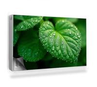 Copertura per Termosifone 100x60 cm Montaggio Facile per Radiatore Decorazione per Interni Senza Viti o Colla Tappetino Magnetico - Primo Piano di Una Foglia e di Gocce di Rugiada