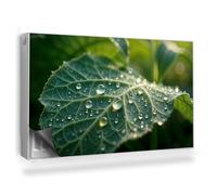 Copertura per Termosifone 100x60 cm Montaggio Facile per Radiatore Decorazione per Interni Senza Viti o Colla Tappetino Magnetico - Primo Piano della Foglia con Gocce di Rugiada Sfondo Scuro