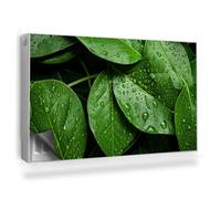 Copertura per Termosifone 100x60 cm Montaggio Facile Senza Viti o Colla Tappetino Magnetico per Radiatore Decorazione per Interni - Primo Piano di Molte Foglie, Gocce di Rugiada, Natura
