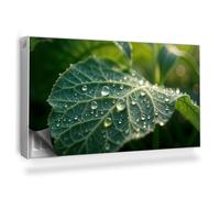 Copertura per Termosifone 110x60 cm Montaggio Facile per Radiatore Decorazione per Interni Senza Viti o Colla Tappetino Magnetico - Primo Piano della Foglia con Gocce di Rugiada Sfondo Scuro