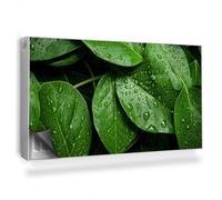 Copertura per Termosifone 110x60 cm Montaggio Facile Senza Viti o Colla Tappetino Magnetico per Radiatore Decorazione per Interni - Primo Piano di Molte Foglie, Gocce di Rugiada, Natura