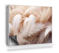 Copertura per Termosifone 80x60 cm Tappetino Magnetico Decorazione per Interni Senza Viti o Colla per Radiatore Montaggio Facile - Piume Luminose e Calde, Contrasto, Spazio