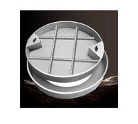 Copertura rotonda invisibile resistente per accesso settico a terra, per cortile, giardino e strada (50 x 50 x 5 cm)