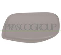 Copertura, Specchio esterno Dx per BMW 5