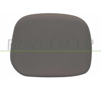 Copertura, Specchio esterno Sx per CITROËN PEUGEOT BERLINGO / BERLINGO FIRST PAR
