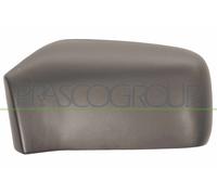 Copertura, Specchio esterno Sx per VOLVO S40 V40