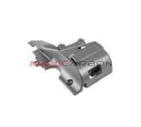 Copertura sx motore carbon Ducati Monster 1200 (2017-2021) / Left engine carbon