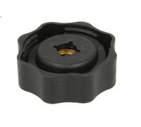 Copertura, vaschetta acqua CALORSTAT BY VERNET RC0010 per MG ZR 2 2002-2005