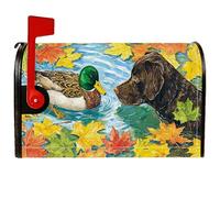Coperture magnetiche per cassette postali a forma di anatra, foglie autunnali di cane e natura, per decorazione da giardino e patio, 53 x 64 cm