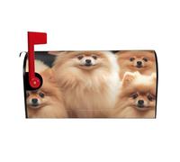 Coperture magnetiche per cassette postali con cuccioli di Pomeranian, dimensioni standard, 53,3 x 45,7 cm, copertura per cassetta delle lettere primaverile estate copertura per cassetta postale di