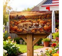 Coperture magnetiche per cassette postali con cuccioli, rustiche e affascinanti zucche, foglie autunnali, colore arancione, per decorazione del portico anteriore, 53 x 65,5 cm