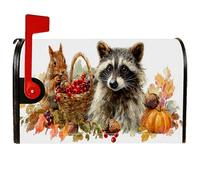 Coperture magnetiche per cassette postali con procione, autunnali, rustiche, scoiattolo, zucca, autunno, arancione, decorazione per porta d'ingresso, 53 x 65 cm