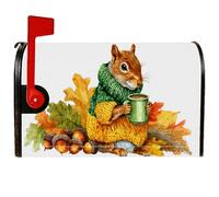 Coperture magnetiche per cassette postali con scoiattolo, rustiche fantasiose foglie autunnali ghiande autunnali arancioni copertura per la decorazione del portico anteriore, 53 x 64 cm