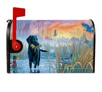 Coperture magnetiche per cassette postali per cani, copertura per cassetta postale stagionale con anatra naturale rustica e uccellino autunnale, per decorazione del cortile anteriore, 53 x 64 cm