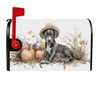 Coperture magnetiche per cassette postali per cuccioli, rustiche con zucche autunnali arancioni, copertura per cassetta postale per esterni, giardino, cortile, decorazione da 53 x 64 cm