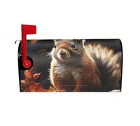 Coperture per cassette postali "Scoiattolo nel bosco" avvolgimenti magnetici copertura per cassetta postale decorazione per la casa da giardino 21x18 pollici