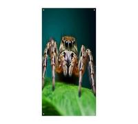 Coperture per porta d'ingresso a forma di ragno selvatico, striscione di benvenuto, grande sfondo divertente, decorazioni per appendere interni ed esterni e buoni regali di primavera per gli amici