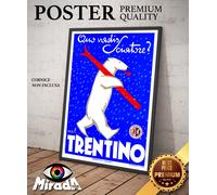 copia d'autore POSTER VINTAGE DOLOMITI TRENTINO SCI NEVE INVERNO ORSO PIPA