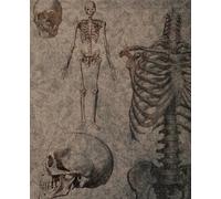 Coposition notebook college ruled anatomy vintage retrò gothic style Quaderno a righe college anatomia vintage retrò gothic 7,5 x 9,25 inches