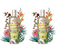 Coppa Cocktails, Margarita, 700 ml, Cocktail iconico, pronto da bere, tequila, lime ed arancia, cocktail messicano, 14.9% Vol. (Confezione da 2)